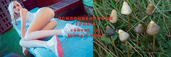 ALPHA PVP Нефтекумск