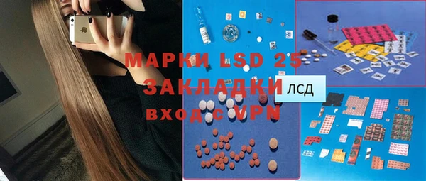 прущие грибы Бронницы